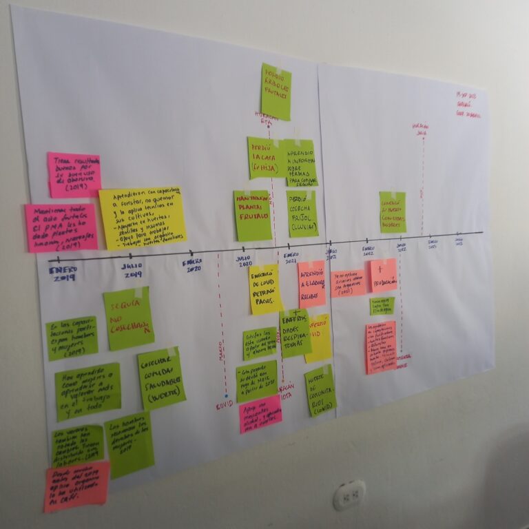 Intermediate evaluation of the “Economic, social, cultural and environmental Rights” Project in Mexico and Central America